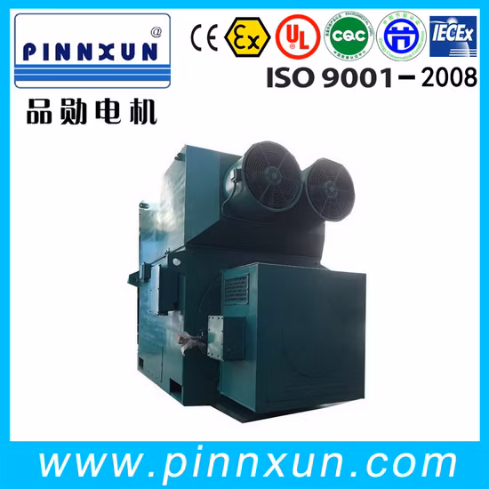 Three Phase Asynchronous Squirrel Cage Induction Motor Slip Ring 550kw Electric Motor