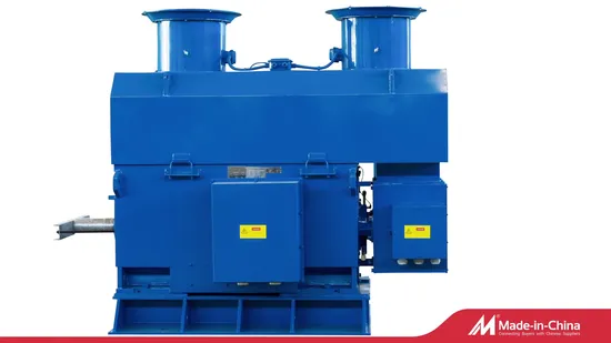 Three Phase Asynchronous Squirrel Cage Induction Motor Slip Ring 550kw Electric Motor