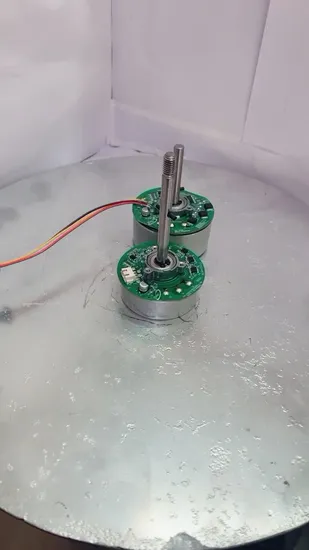 Low Voltage 12V/24V Standing Wall Pedestal Fan Electric Motor with Drive DC Motor